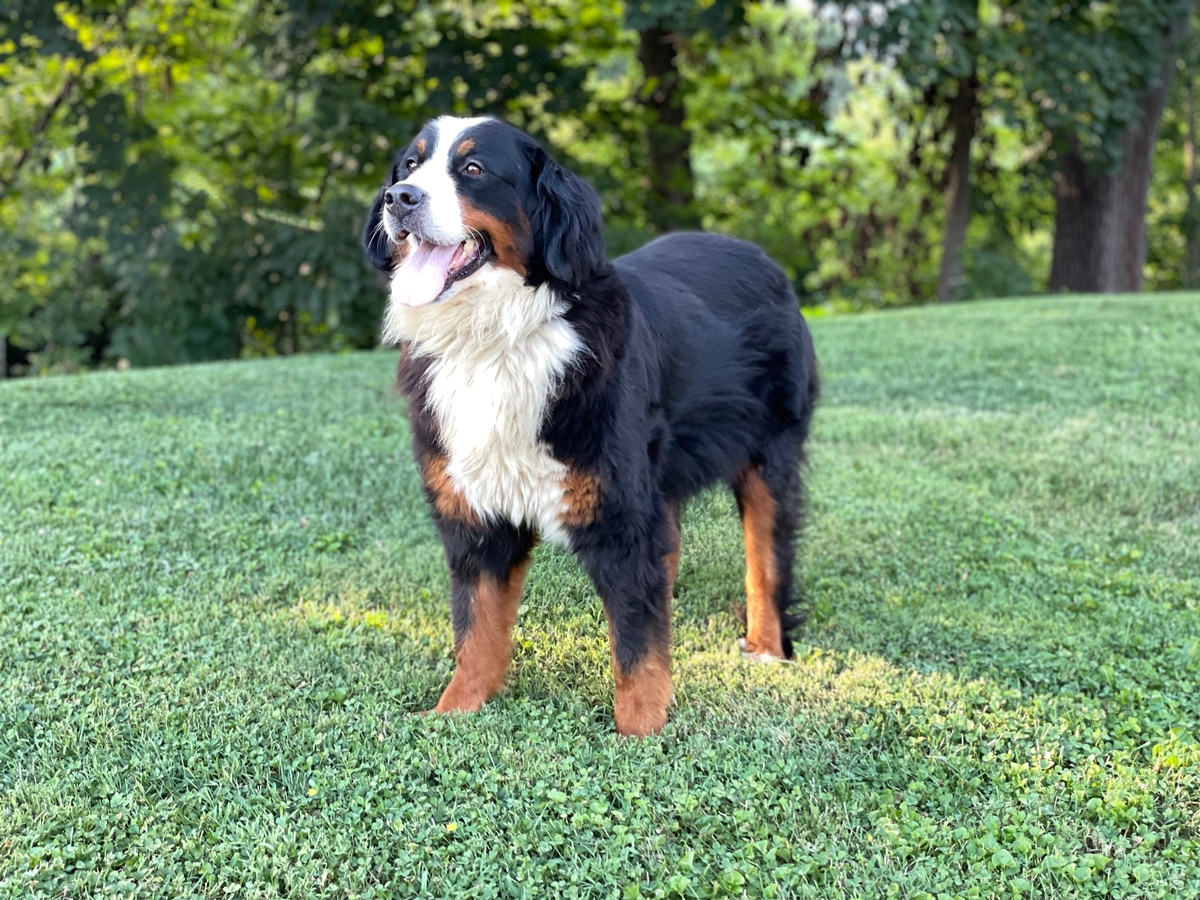 Sophie