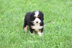 Eleanor